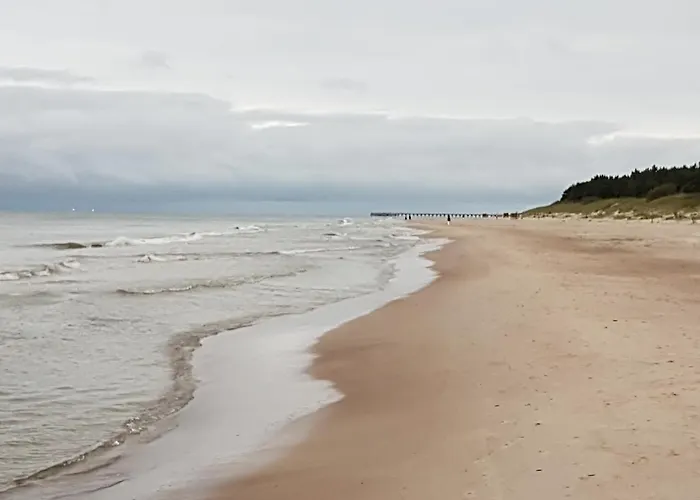 Apartamentai Nr.24 아파트 팔랑가